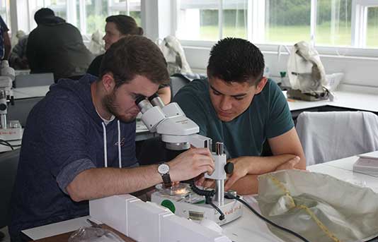 students in the lab at bayfordbury