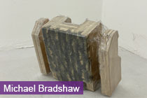 Michael Bradshaw