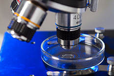 Microscopy