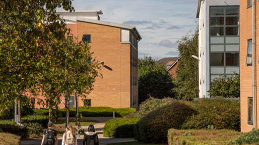 Students walking through campus