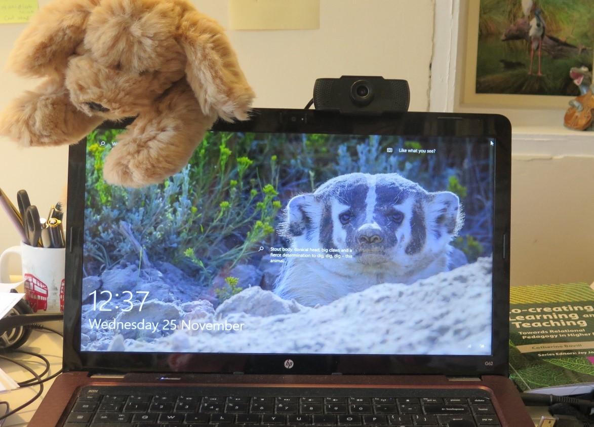 A laptop in a home environment 