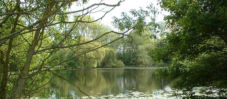 Life and Medical Sciences Field Centre