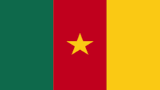 Flag of Cameroon