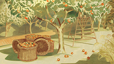 Trees and Orchards 