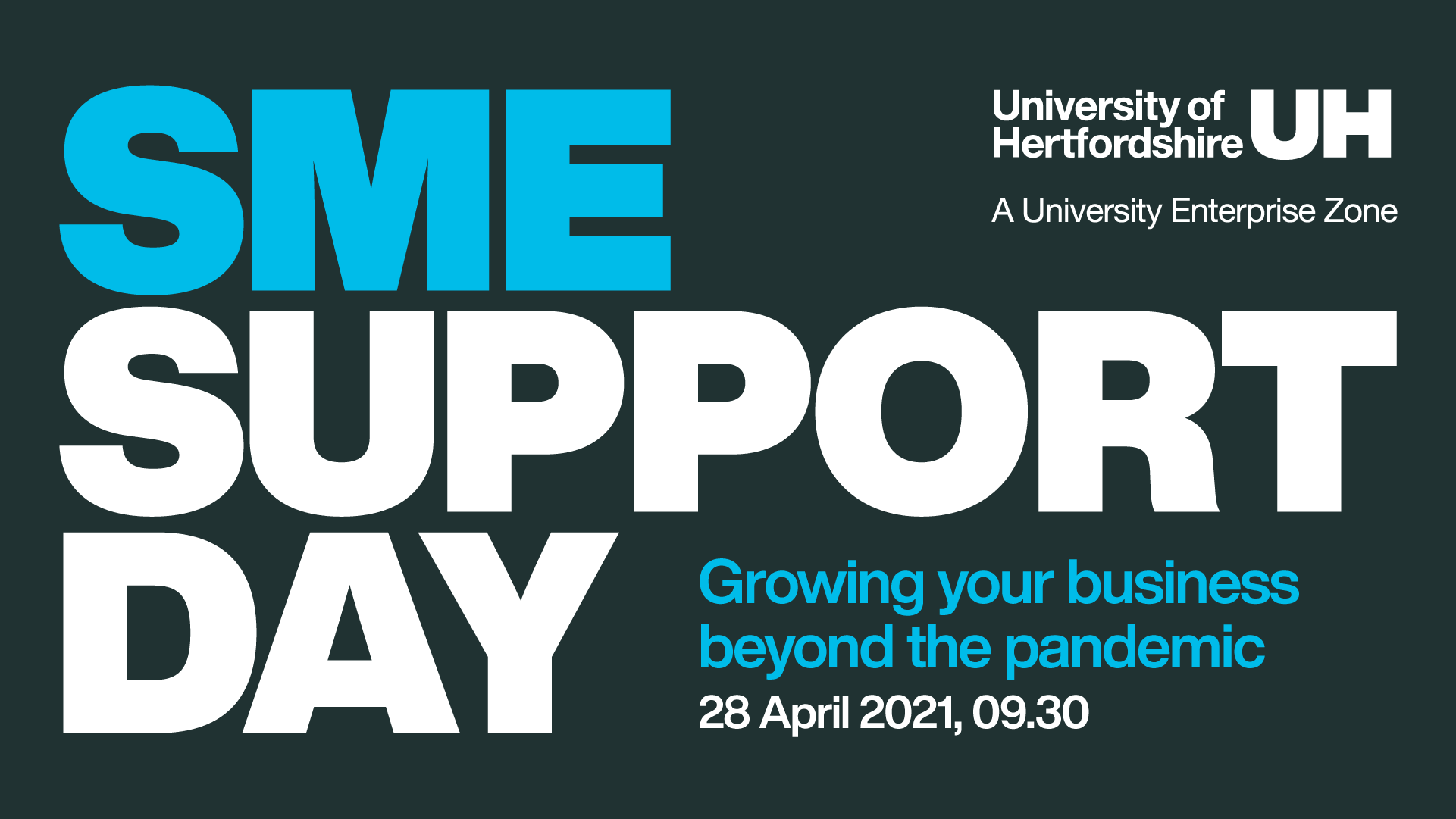SME Support Day: Growing your business beyond the pandemic
