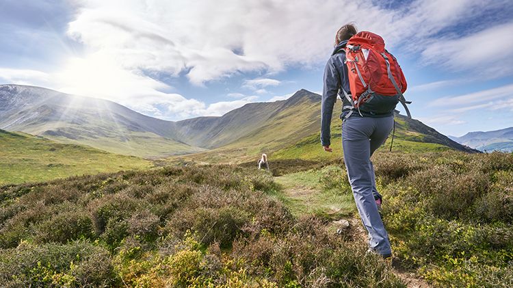 Hiking workouts aren’t just good for your body – they’re good for your mind too