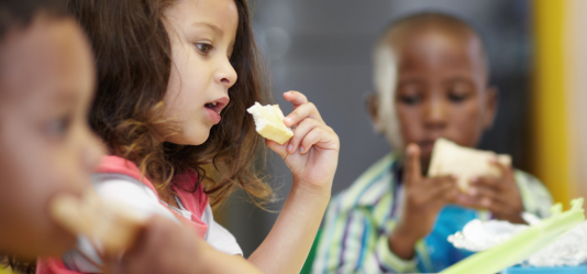 Higher rates of food poverty during Covid are likely to remain, new research shows