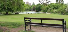 A new digital platform will reveal the environmental impact of proposed developments in St Albans