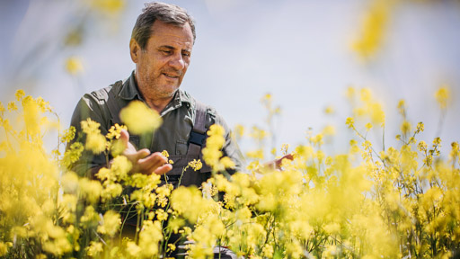 Image of farmer in a crop field