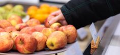 University of Hertfordshire research finds redistributing waste food saves UK £225 million a year