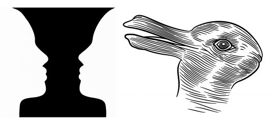 Can optical illusions reveal your personality? Herts study debunks social media claims