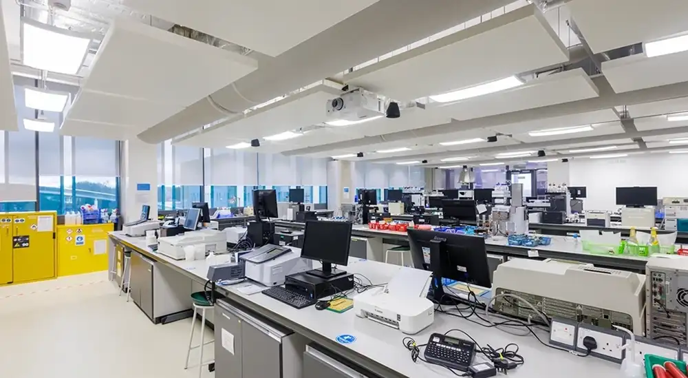 A room with computers on desks