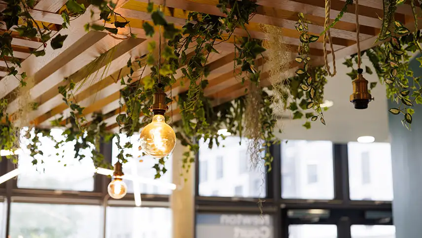 Flowers and lights hanging from celling 