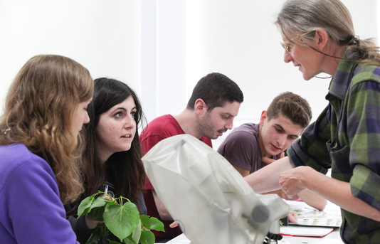 Lecturer showing plants