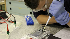 A student working in a lab