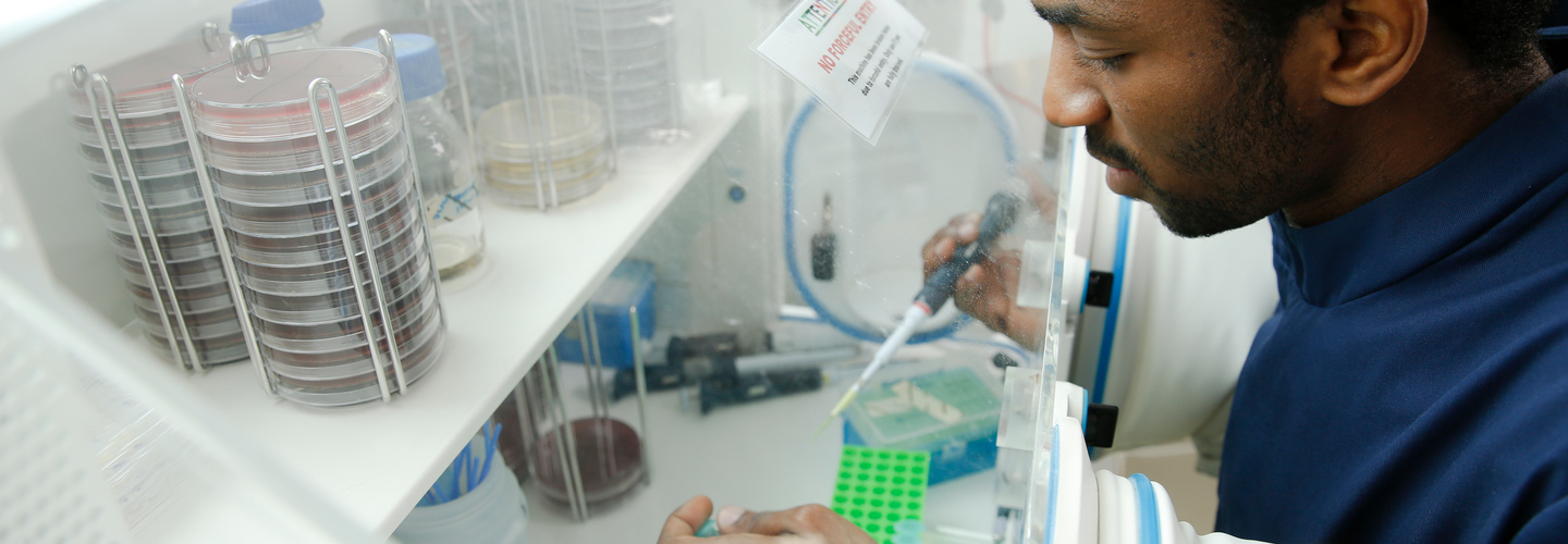 A student working in a lab