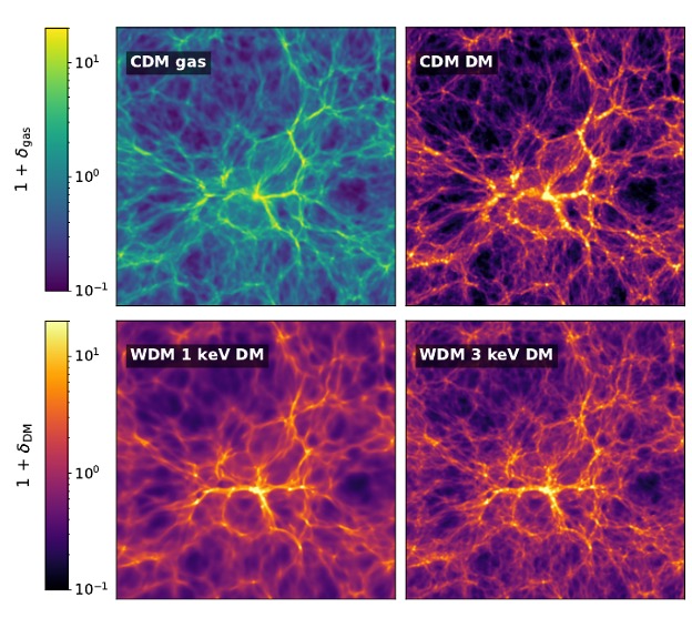 A slice through a cosmological hydrodynamical simulation