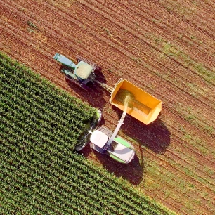 Farming 
