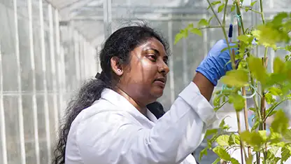 Student in glasshouse thumbnail