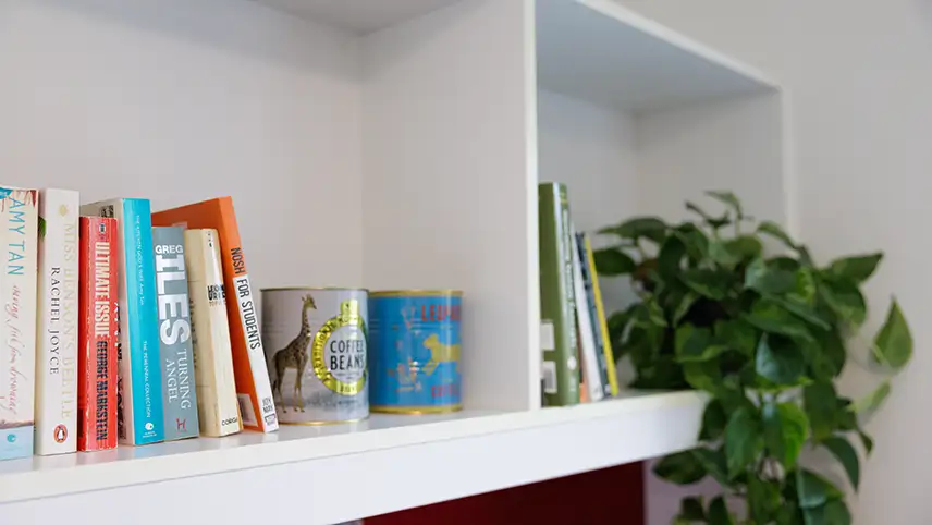 Shelf with books 