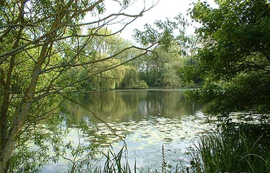 the lake at bayfordbury