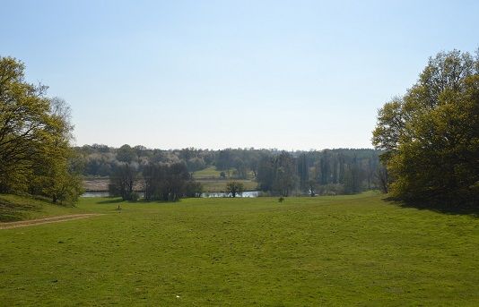 A guided walk in Panshanger Park