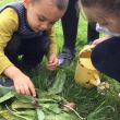Celebrating teaching and learning in primary science