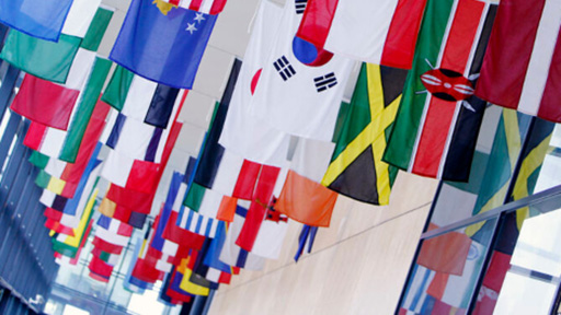 Flags in street