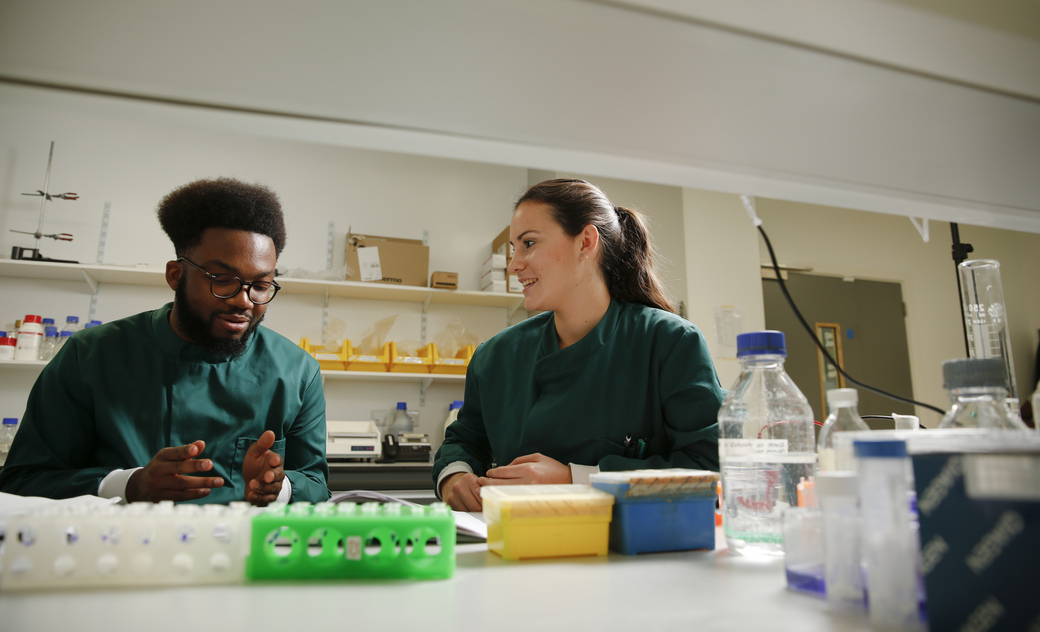 two students sitting in one of the labs. they are smiling whilst discussing their task.