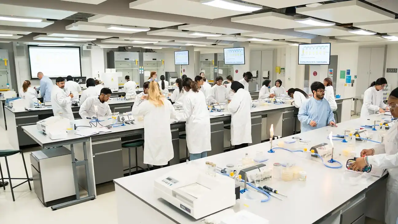 A group of students in a lab working