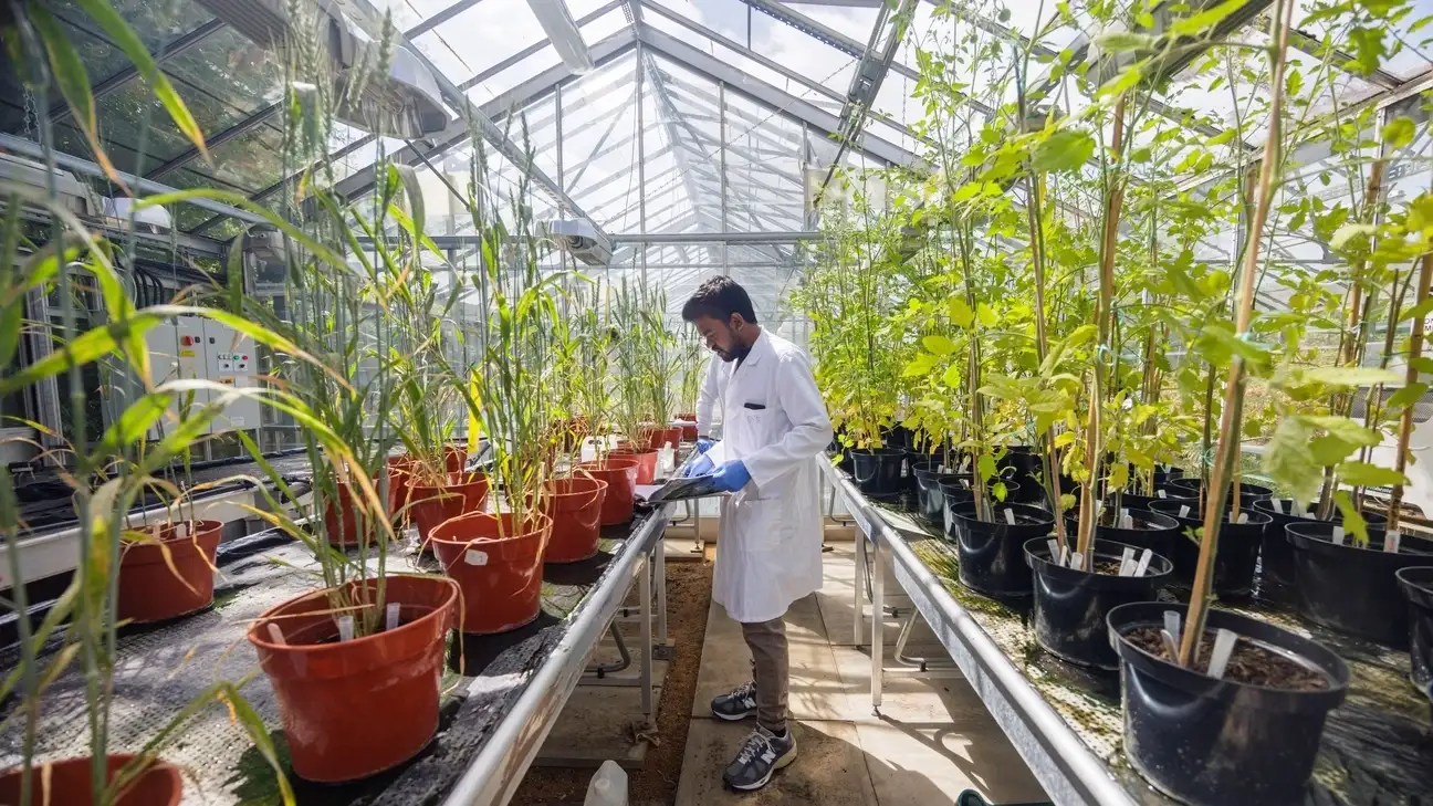 A student in a glasshouse in a lab coat