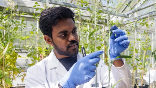 A student in a lad coat looking at a plant