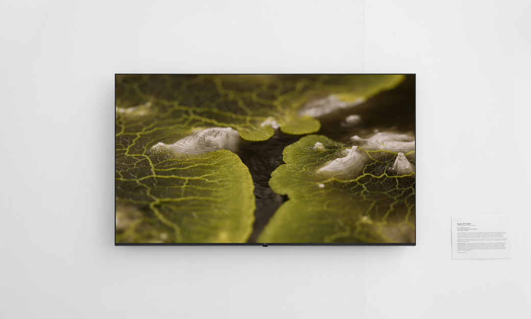 Mind and matter green art