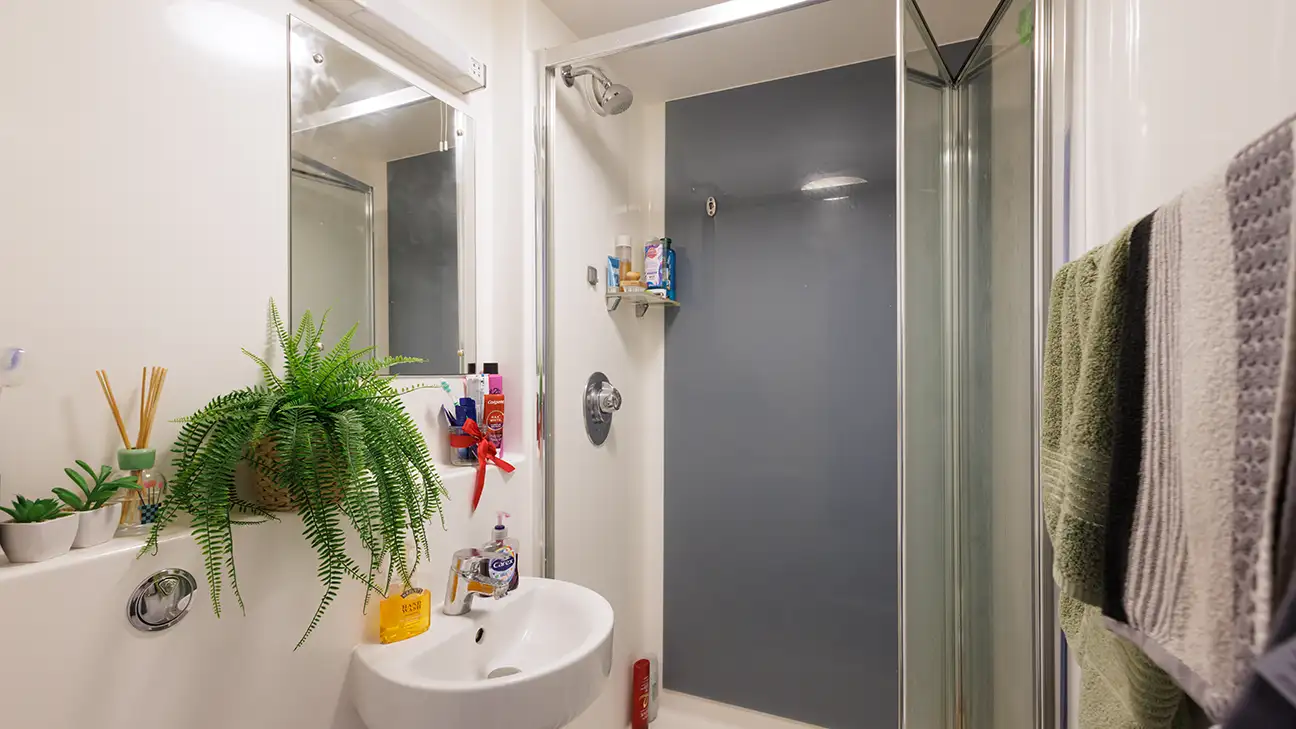 Shower and sink