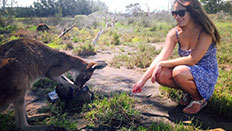 Not easy to meet a kangaroo in Perth. You need to know where to look!