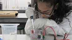 A lab technichan at work