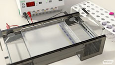 A machine in a lab