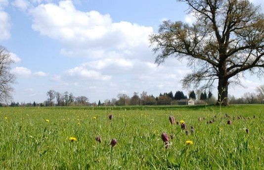 Rothamsted Festival of Ideas