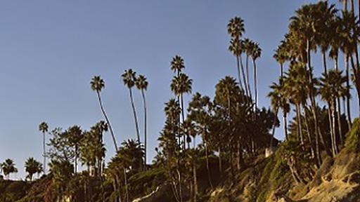 Beach coastline