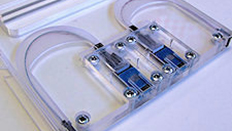Microfluidic Consumable Cartridge For Brag Grating PIBBDT