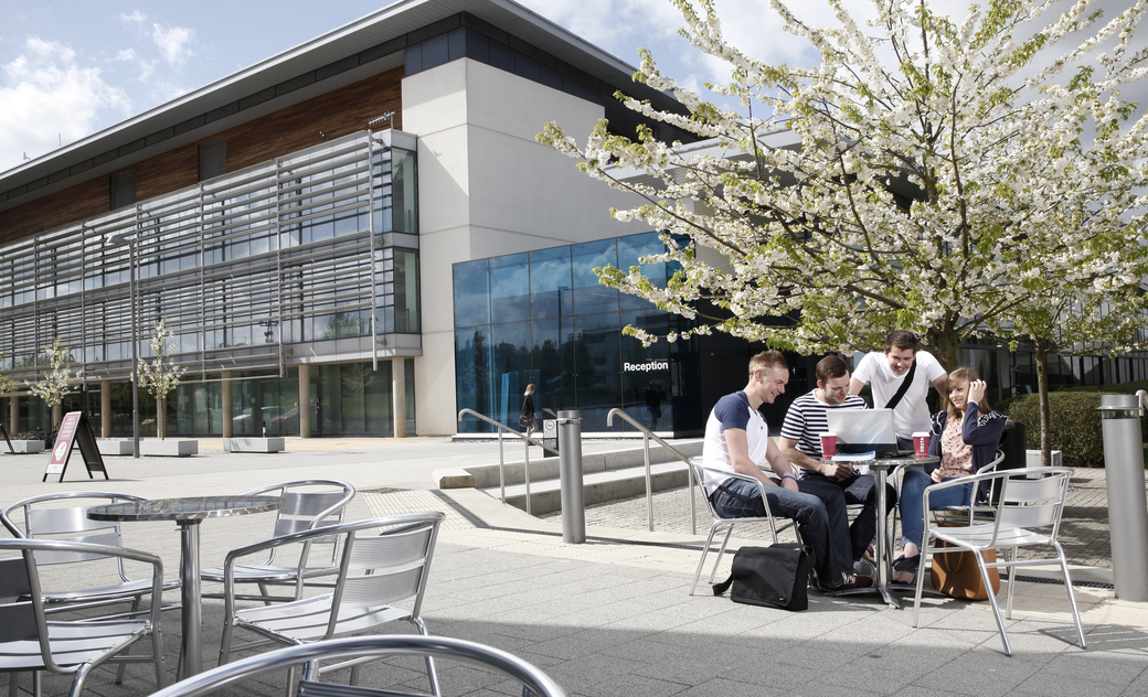 Law students studying and relaxing outside on campus 