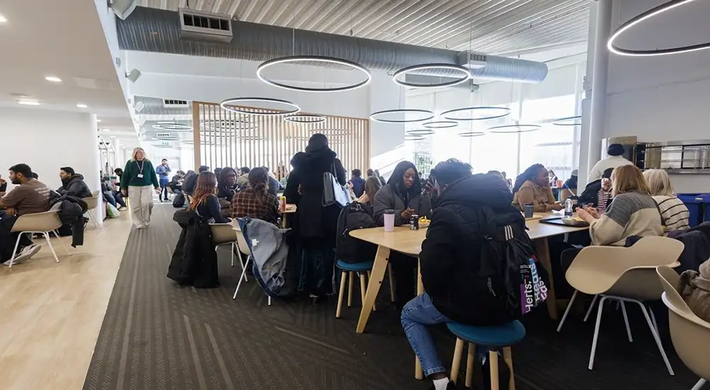A large group of people sitting down in the food court