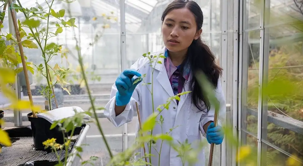 A student in a glasshouse in a lab coat picking leaves