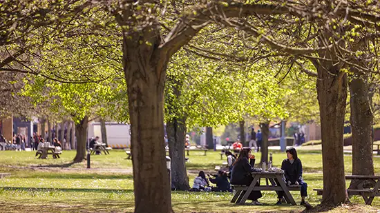 Campus grounds