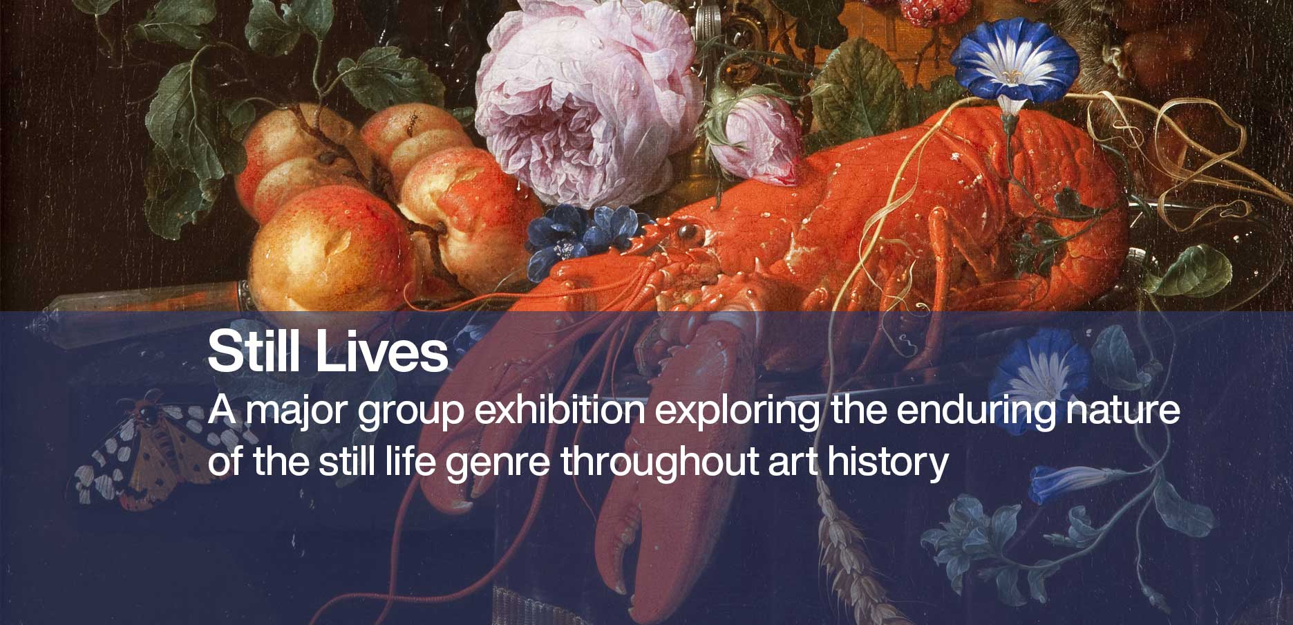 SAMG Exhibition banner image