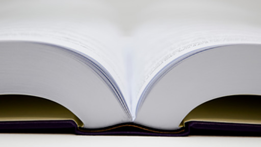 English Literature research projects