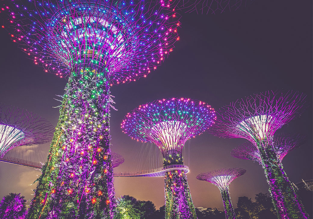 Singapore tree lights