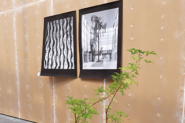 New Geographies: Stuart Whipps