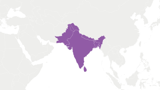 Graphic of the region of South Asia