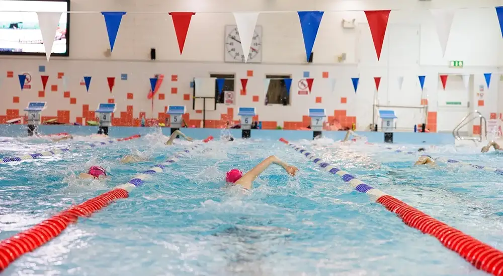 people swimming in lanes 